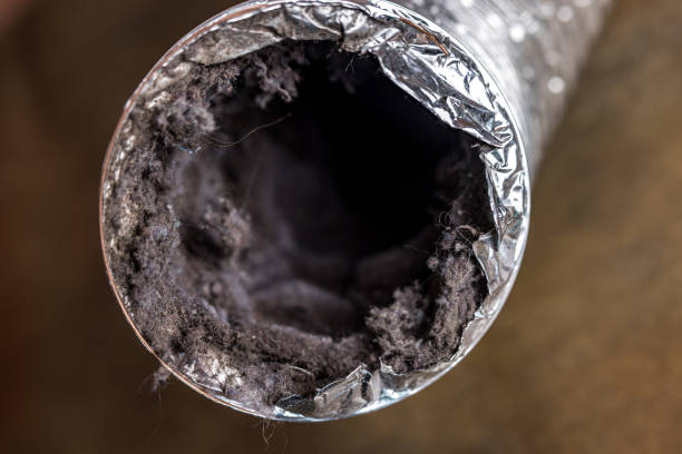 Best Affordable Duct Cleaning Services  in Bellevue, ID