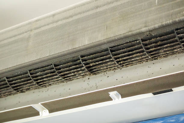 Affordable HVAC Duct Cleaning in Bellevue, ID